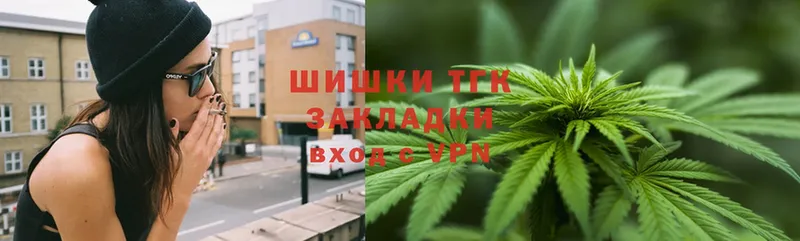 Бошки марихуана THC 21%  Рыльск 